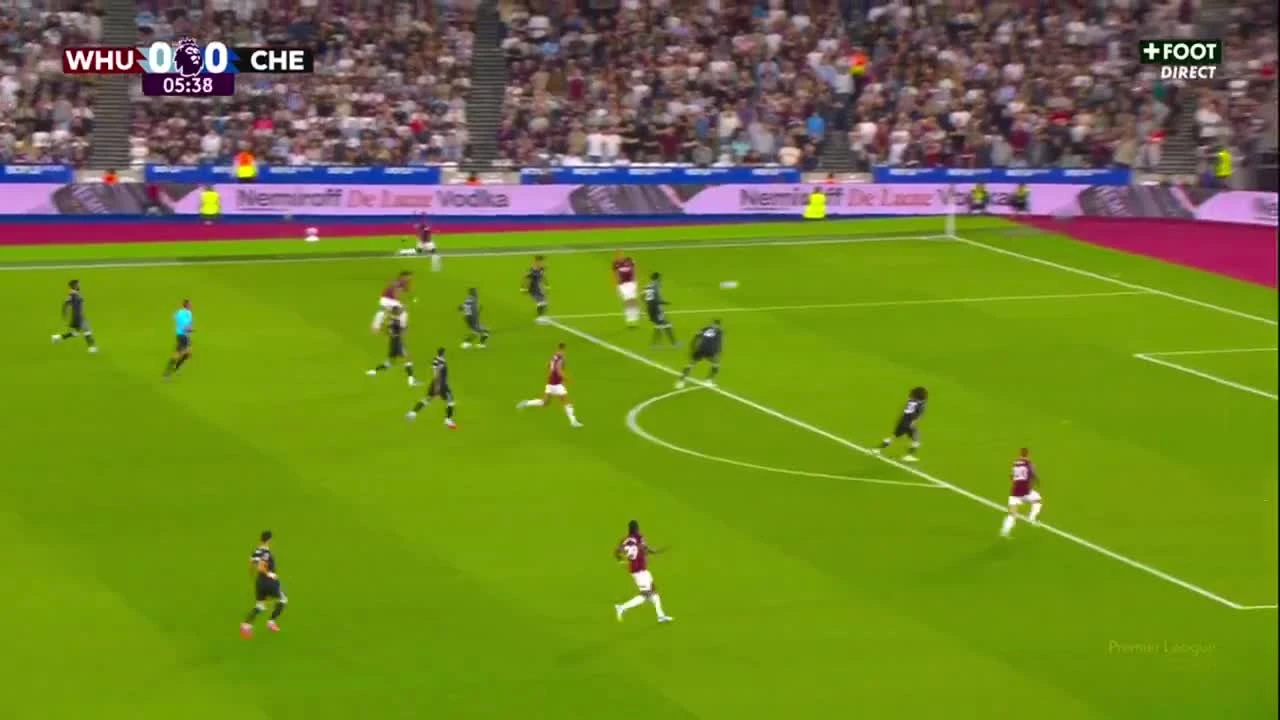 zaslepka skrotu video