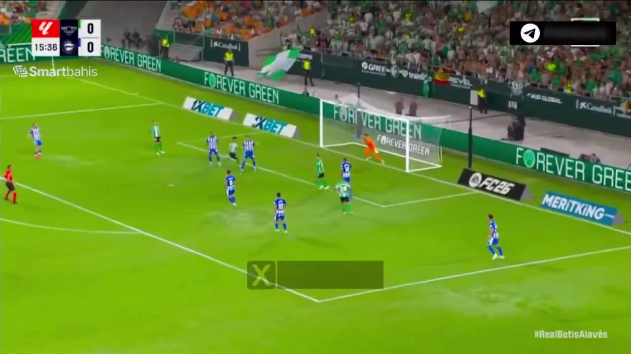 zaslepka skrotu video