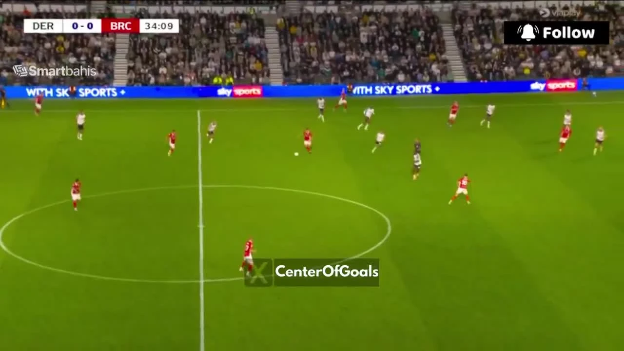 zaslepka skrotu video