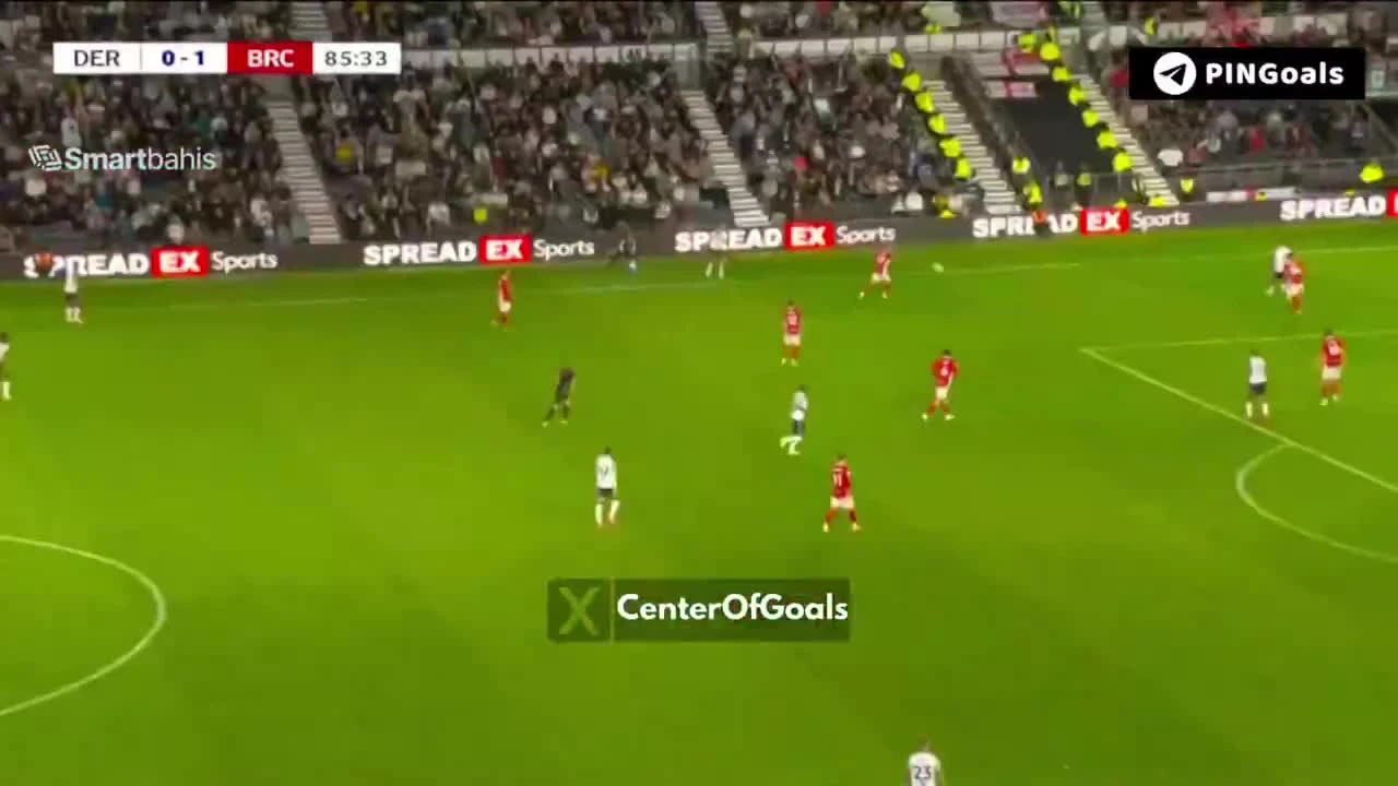 zaslepka skrotu video