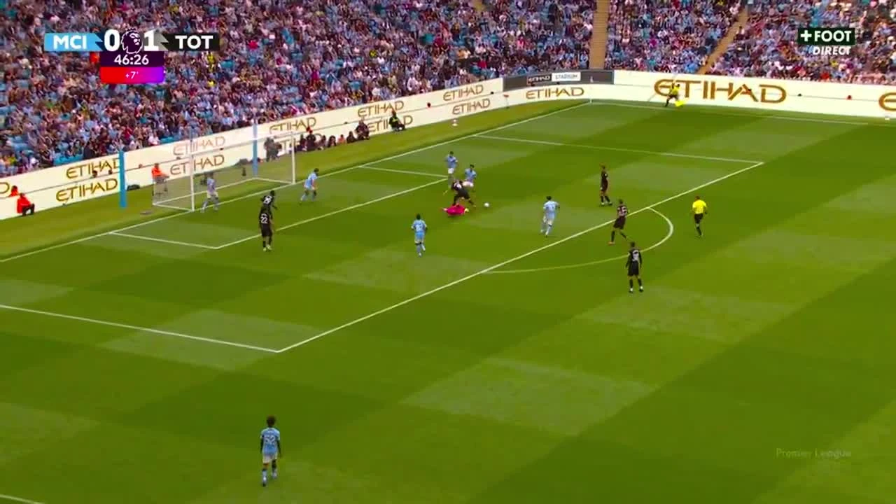 zaslepka skrotu video