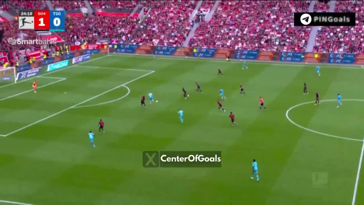 zaslepka skrotu video