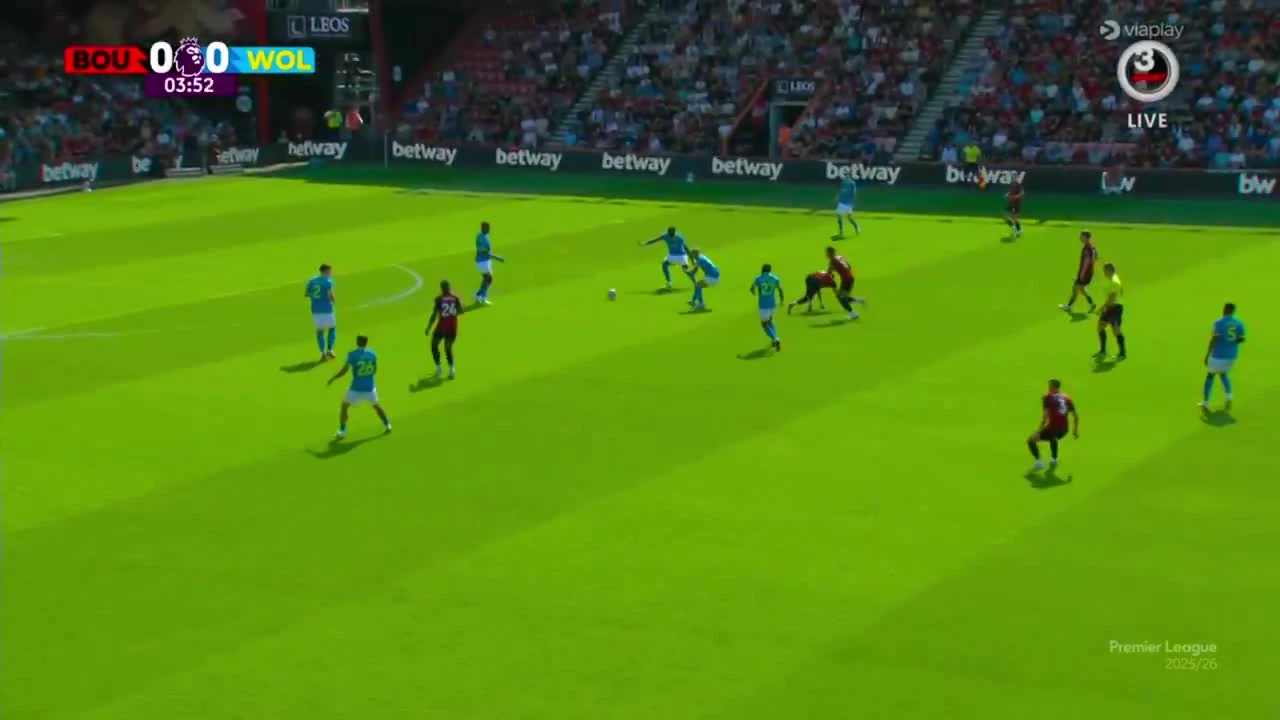 zaslepka skrotu video