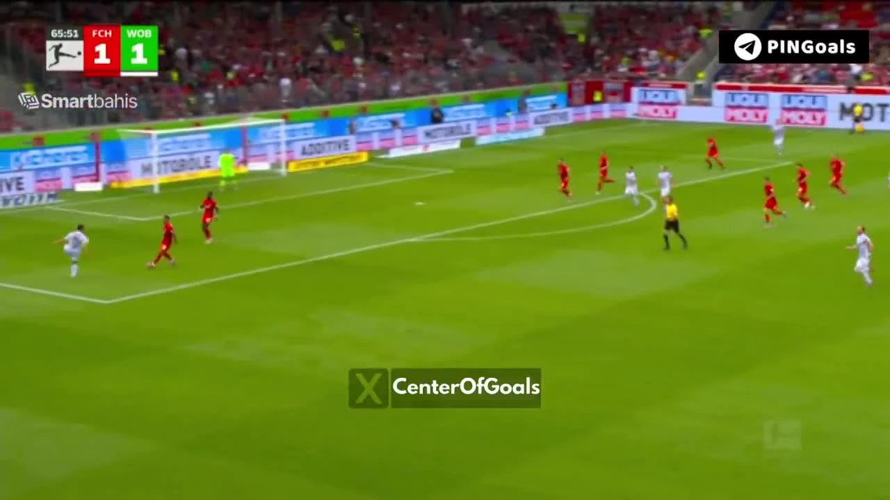zaslepka skrotu video