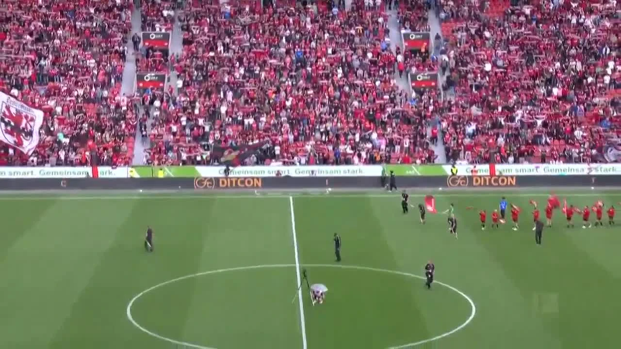 zaslepka skrotu video
