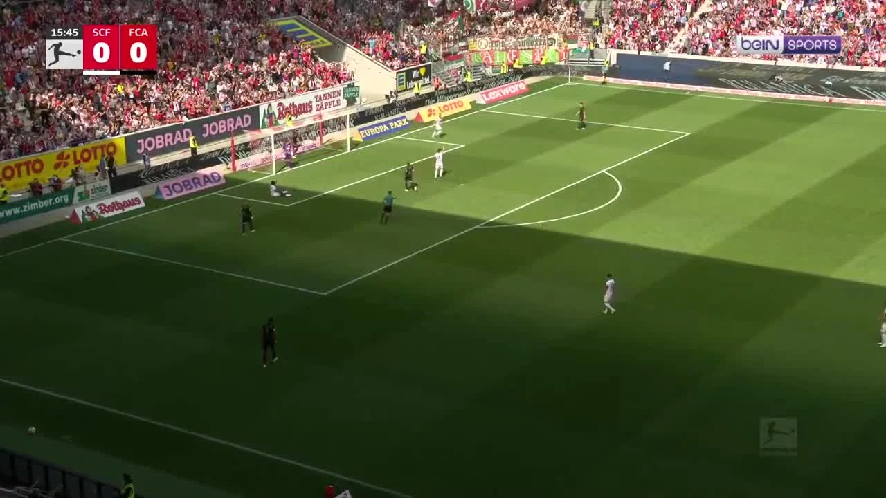 zaslepka skrotu video