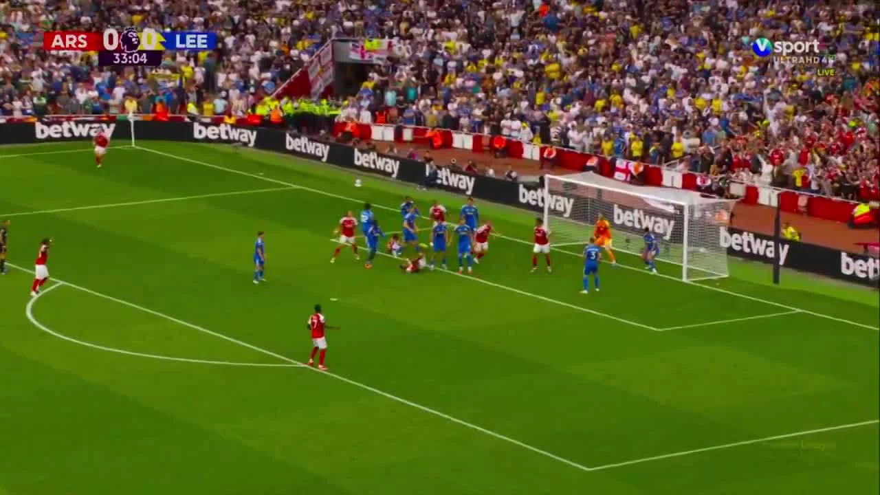 zaslepka skrotu video