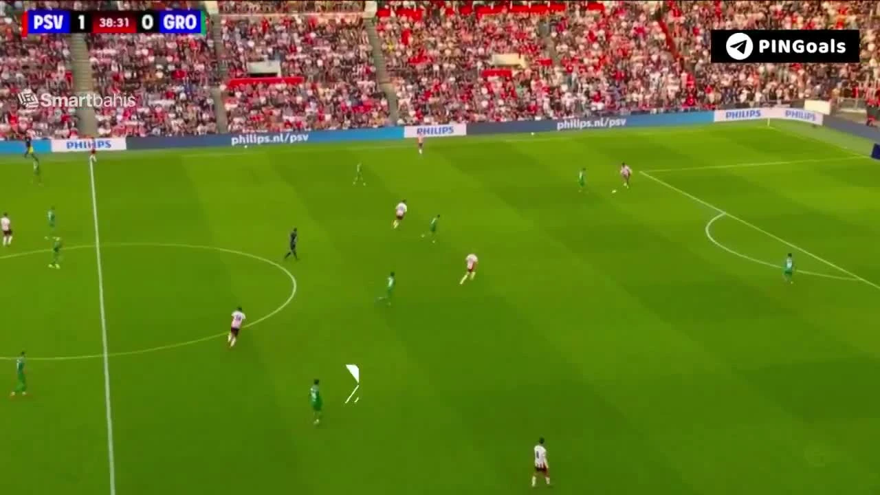 zaslepka skrotu video