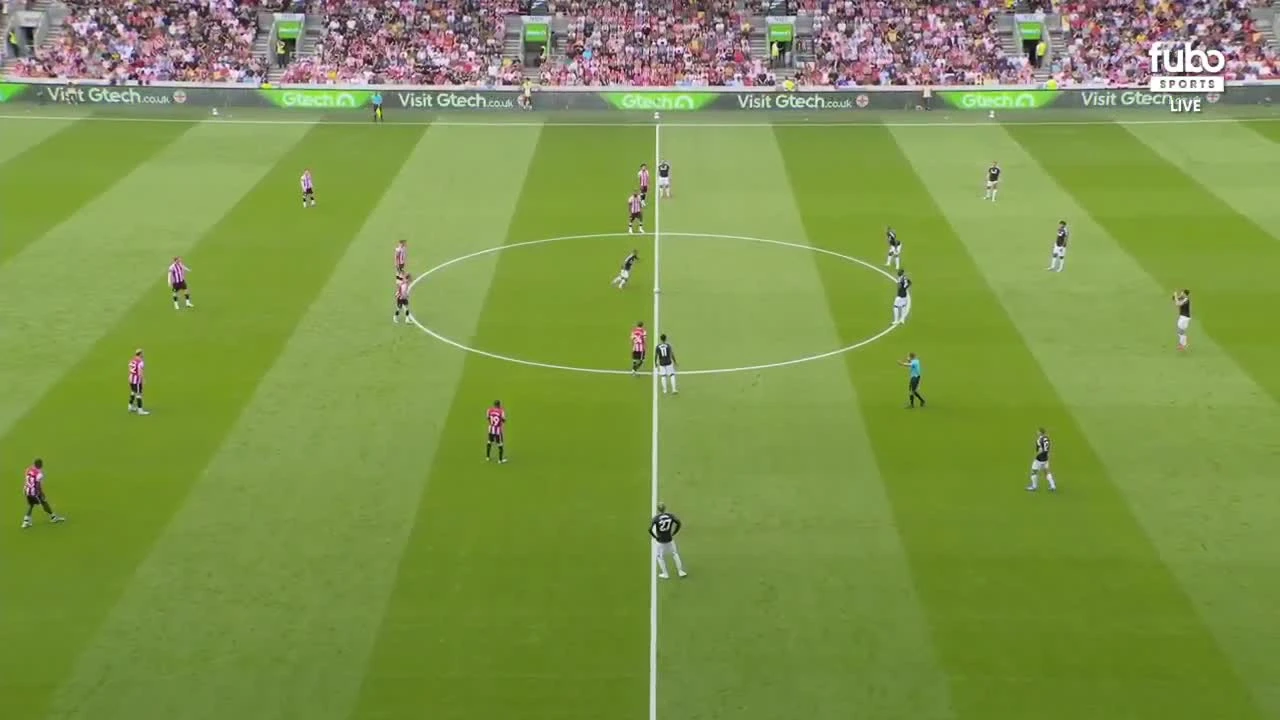 zaslepka skrotu video