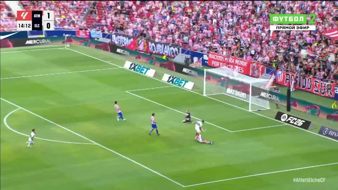 zaslepka skrotu video
