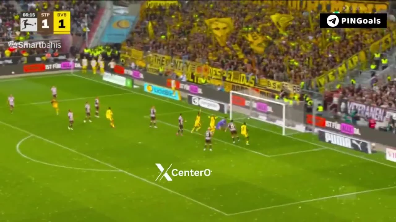 zaslepka skrotu video