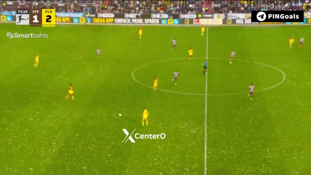 zaslepka skrotu video