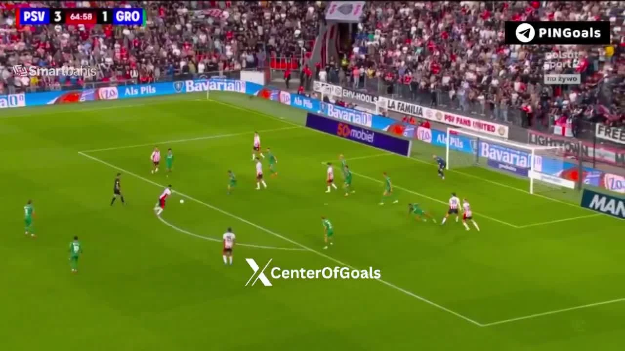 zaslepka skrotu video