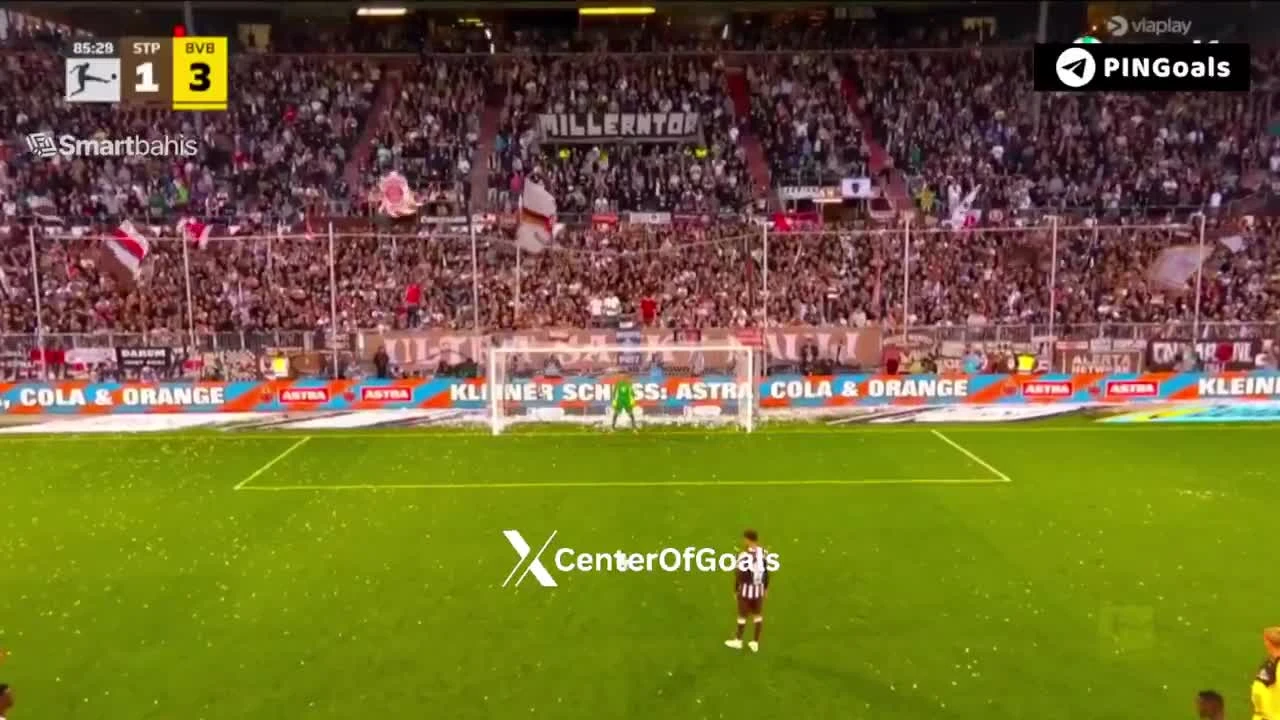 zaslepka skrotu video