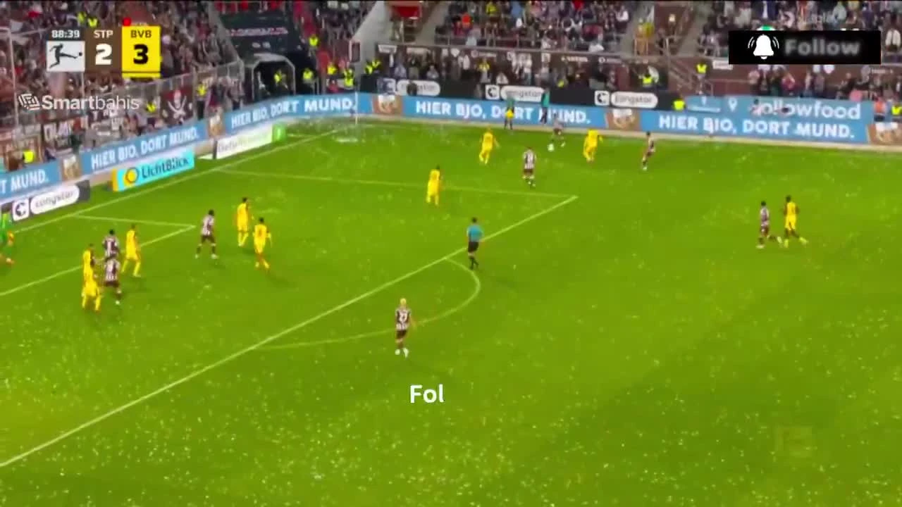 zaslepka skrotu video