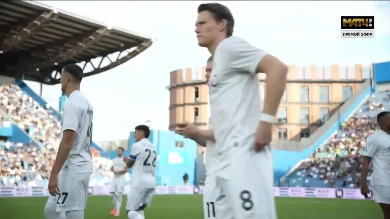 zaslepka skrotu video