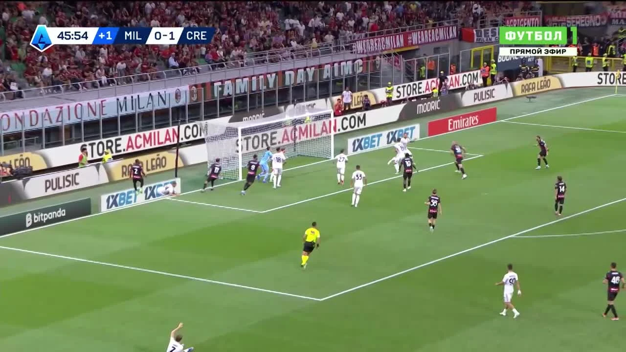 zaslepka skrotu video
