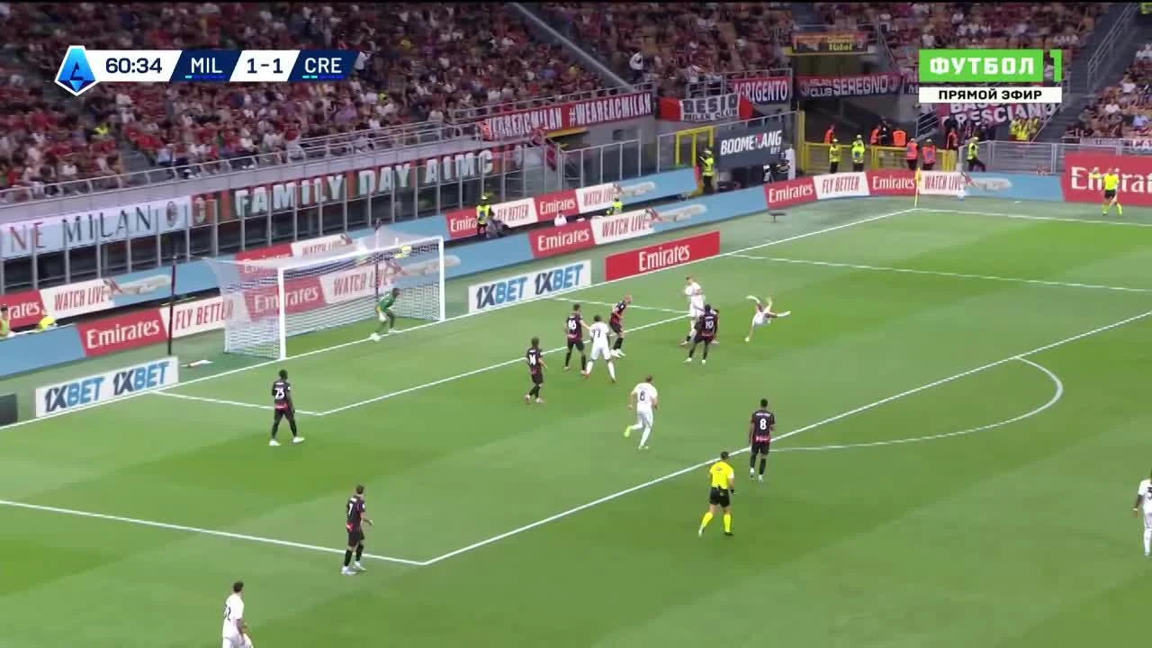 zaslepka skrotu video