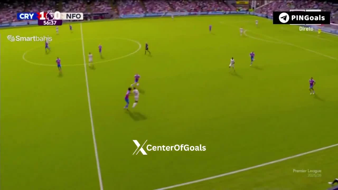 zaslepka skrotu video