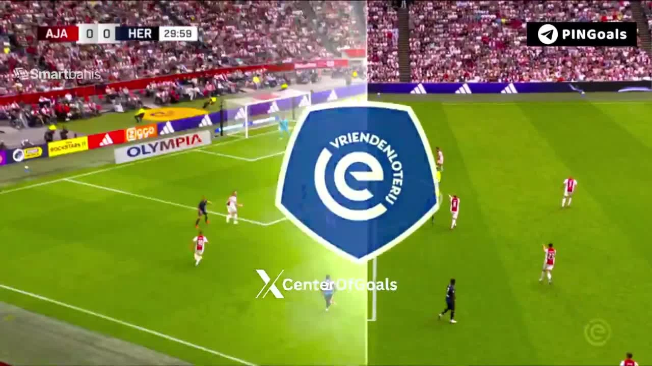 zaslepka skrotu video