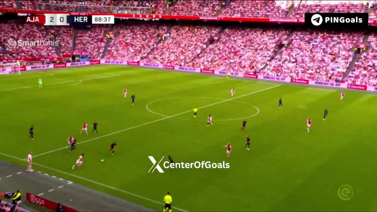 zaslepka skrotu video