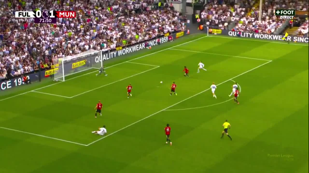 zaslepka skrotu video