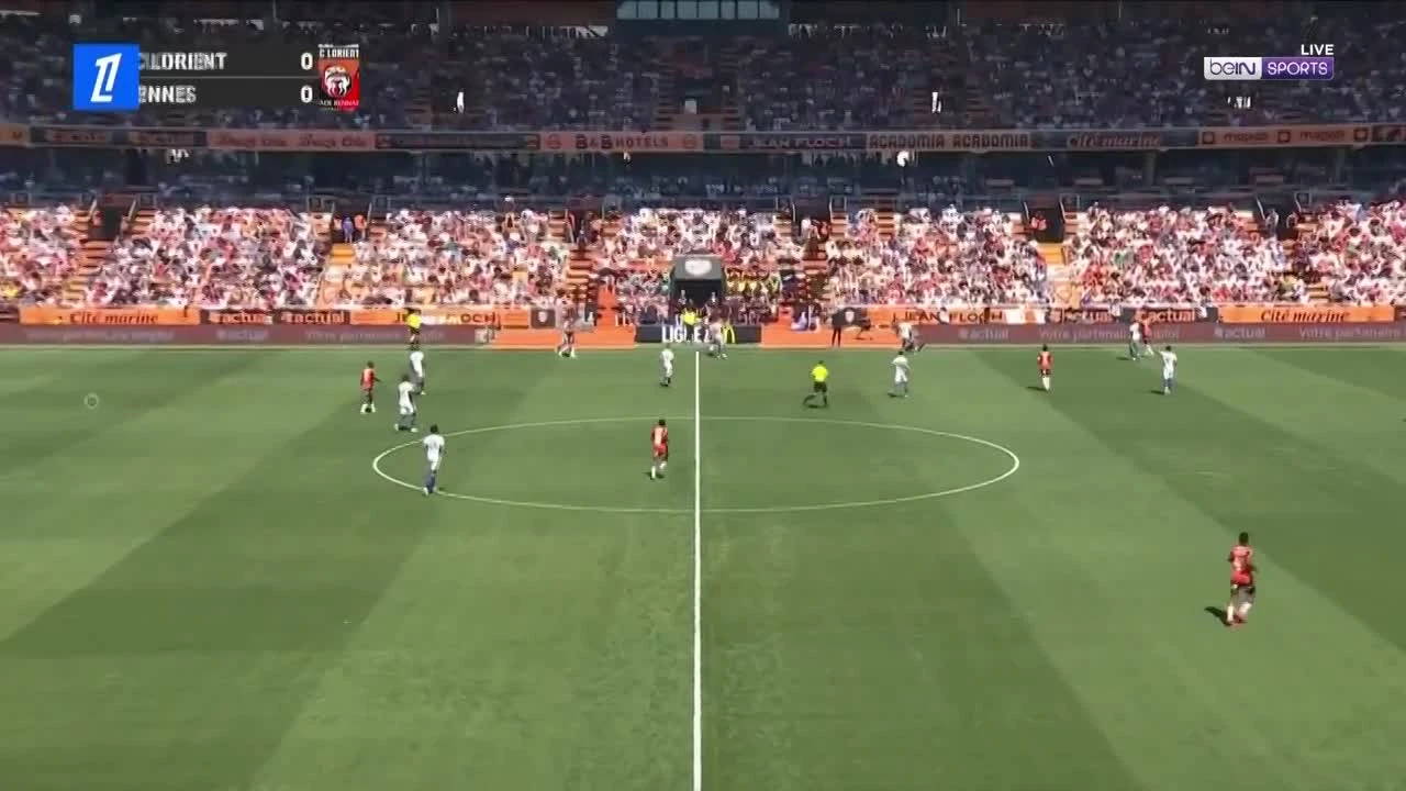 zaslepka skrotu video