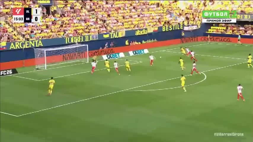 zaslepka skrotu video