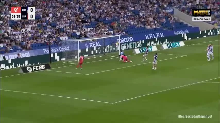 zaslepka skrotu video