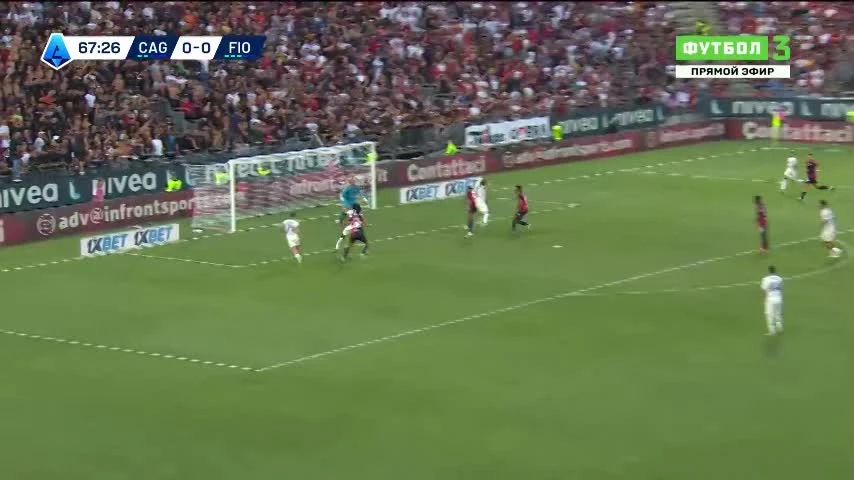 zaslepka skrotu video