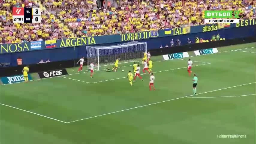 zaslepka skrotu video
