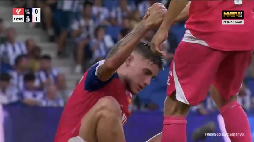 zaslepka skrotu video