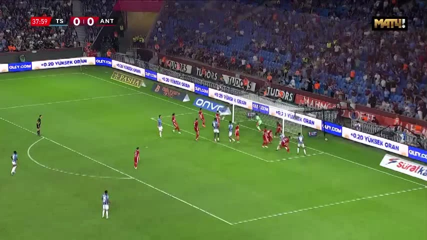 zaslepka skrotu video