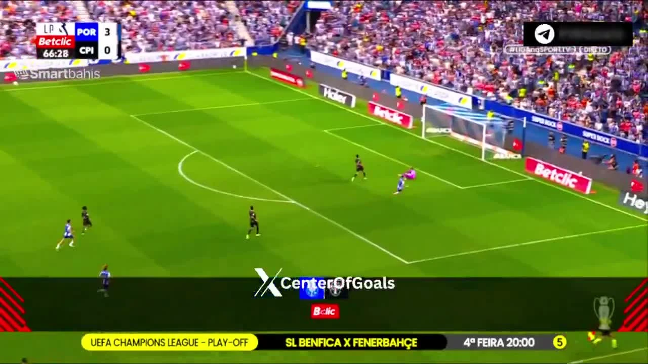 zaslepka skrotu video