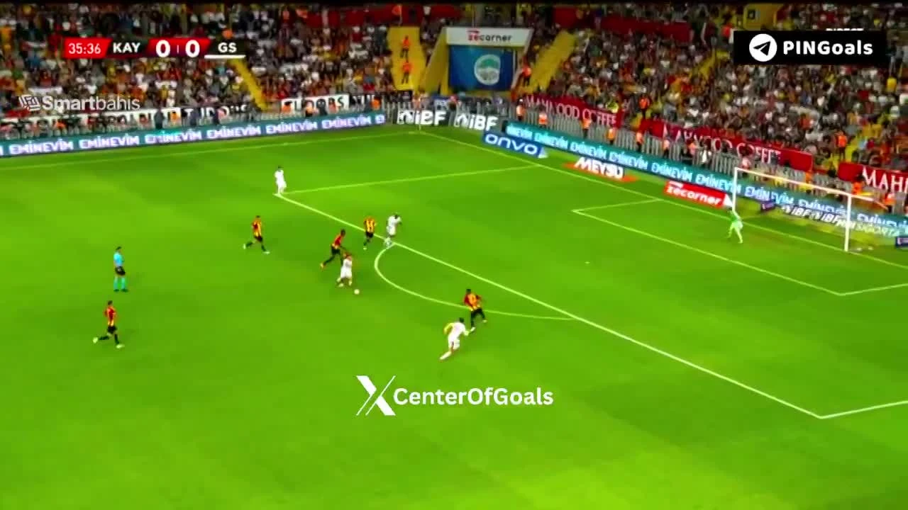 zaslepka skrotu video