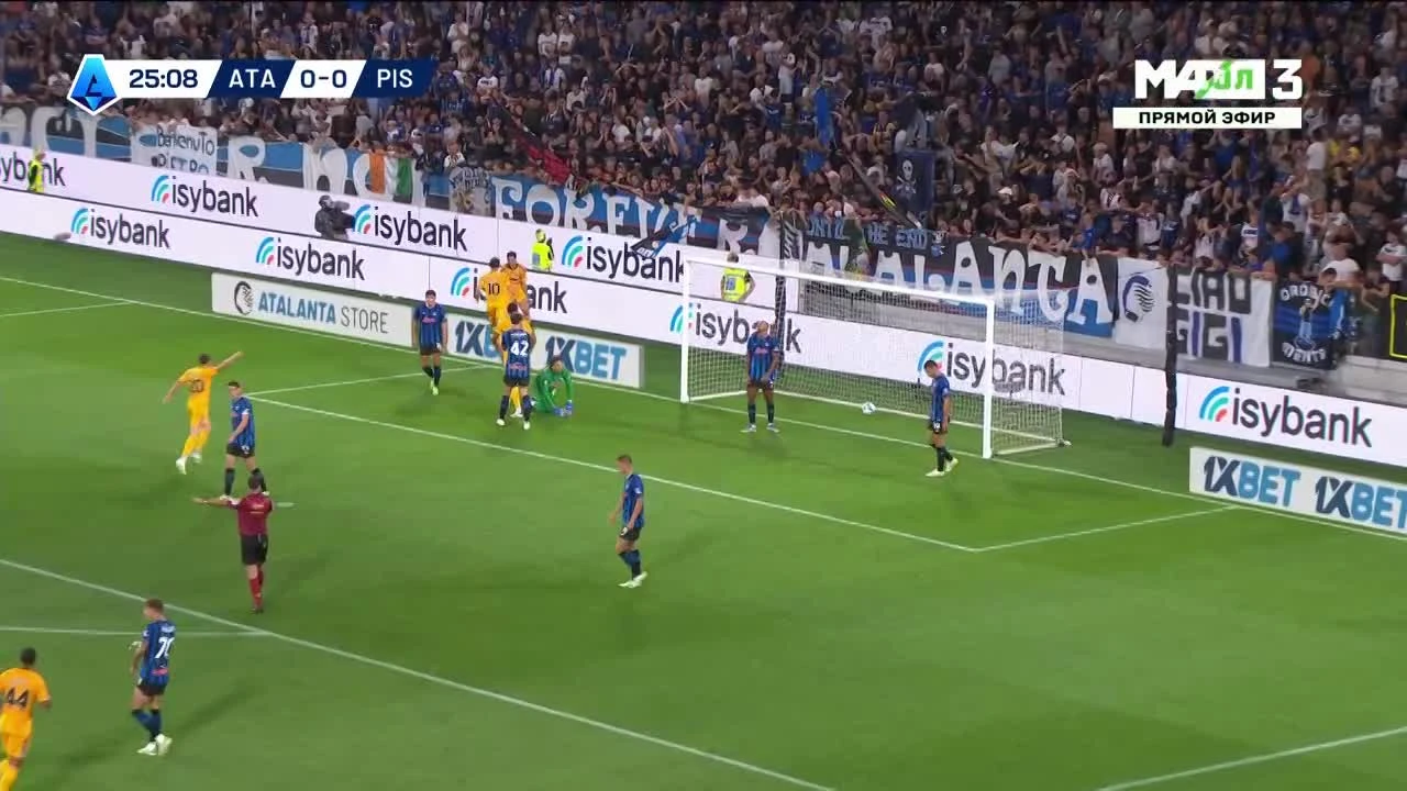 zaslepka skrotu video
