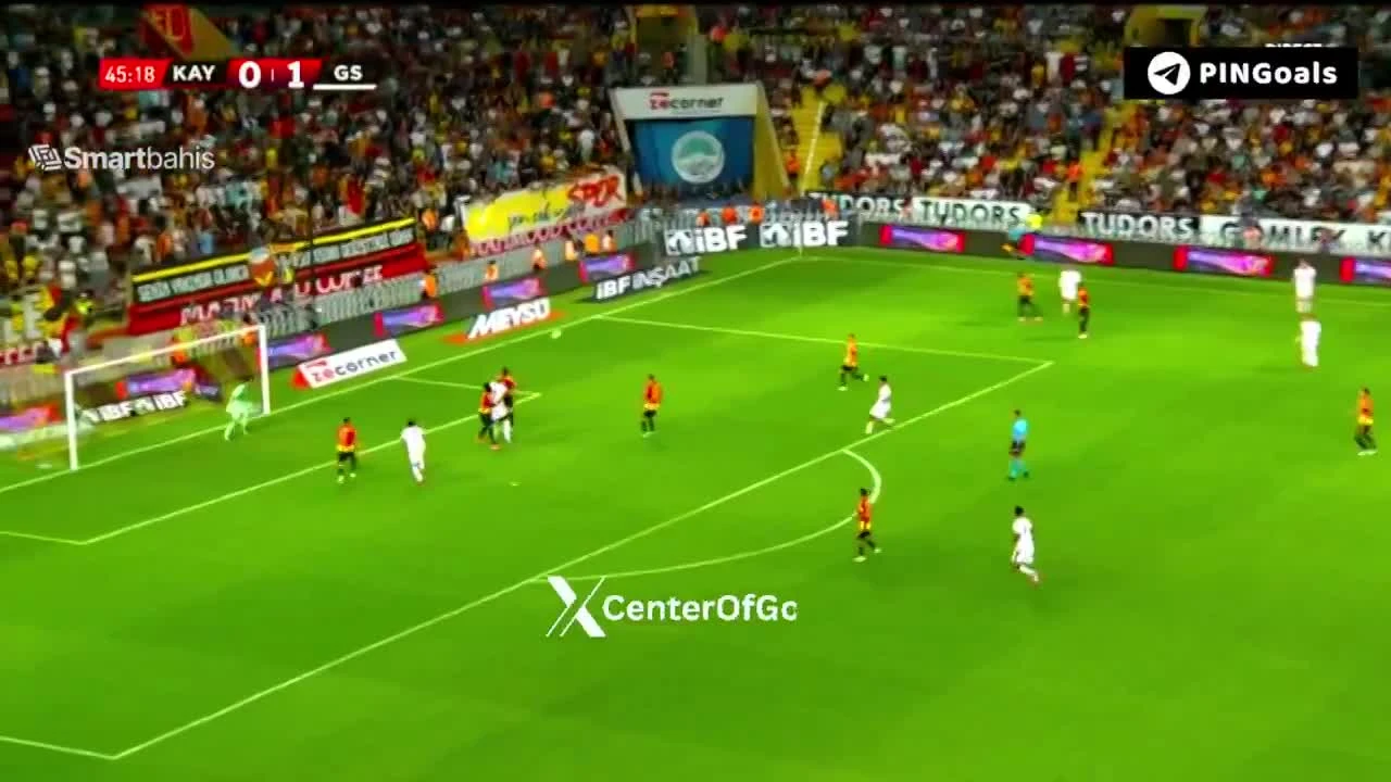 zaslepka skrotu video