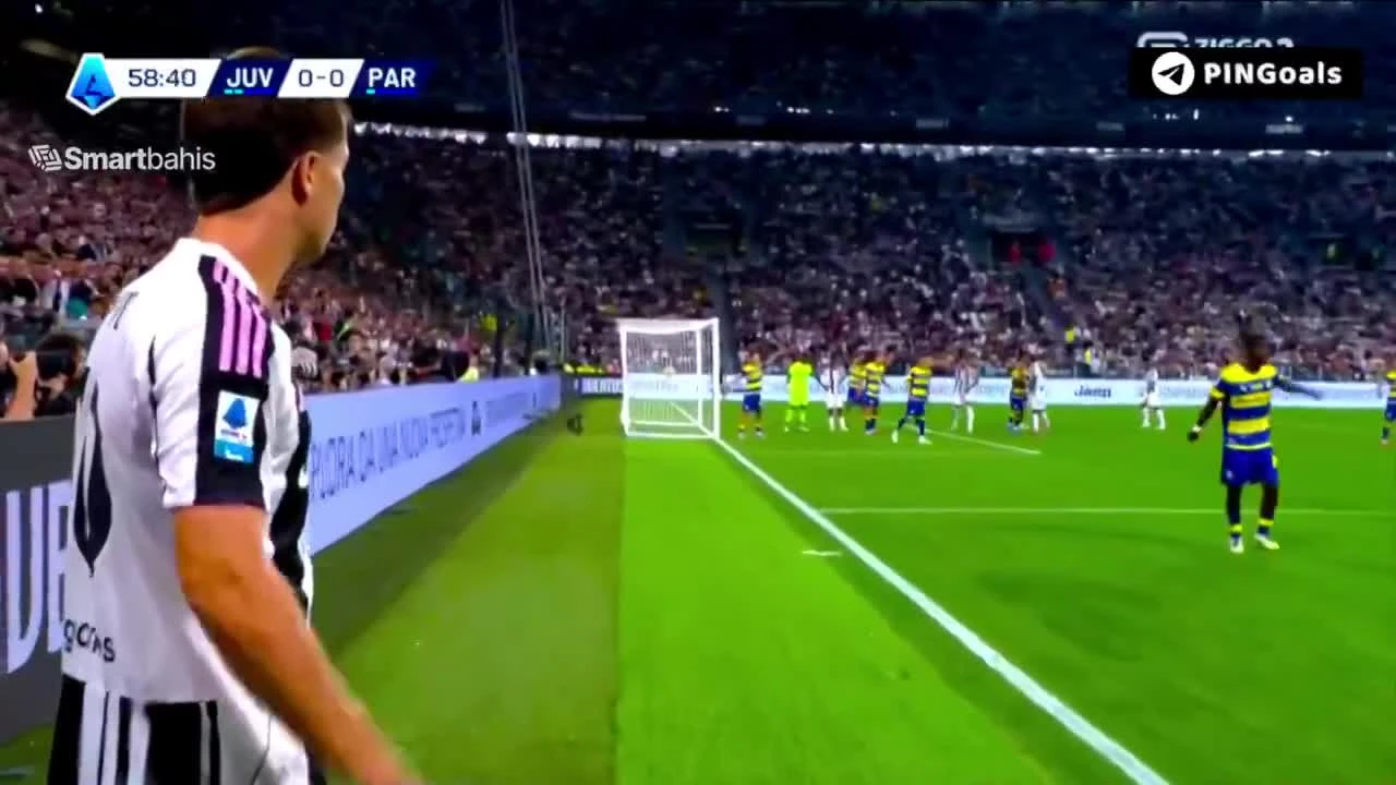 zaslepka skrotu video
