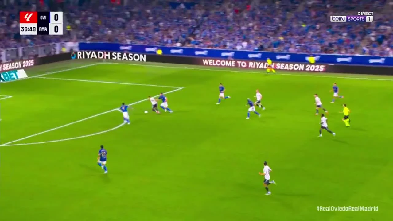 zaslepka skrotu video