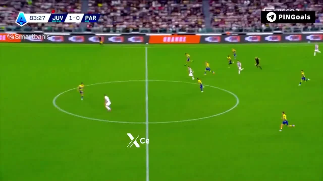 zaslepka skrotu video
