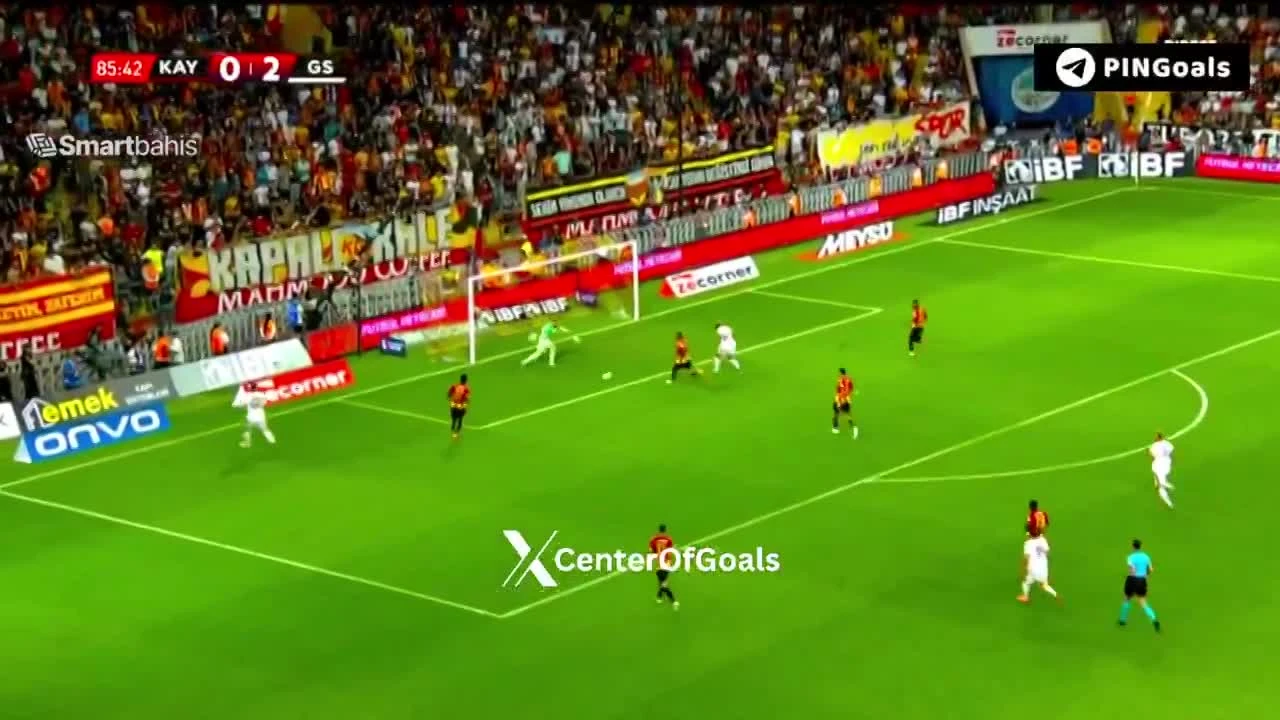 zaslepka skrotu video