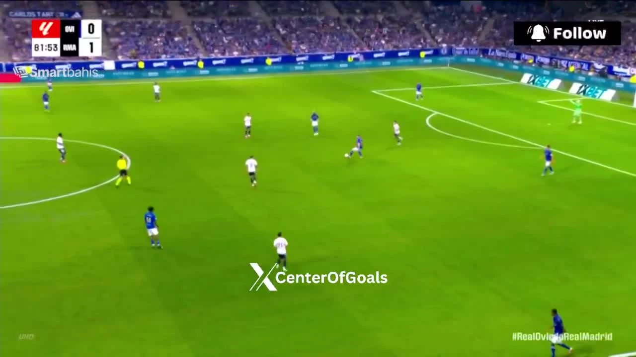 zaslepka skrotu video