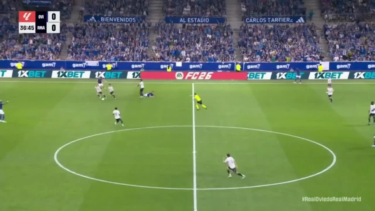 zaslepka skrotu video