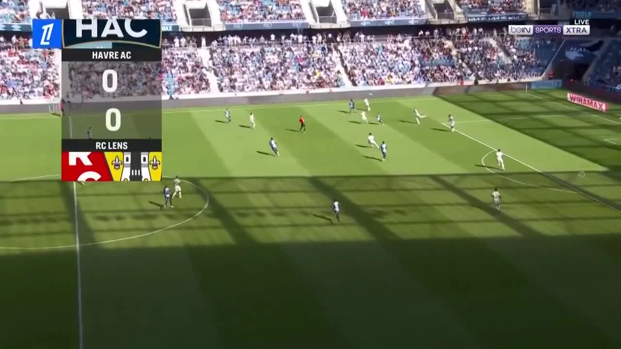 zaslepka skrotu video
