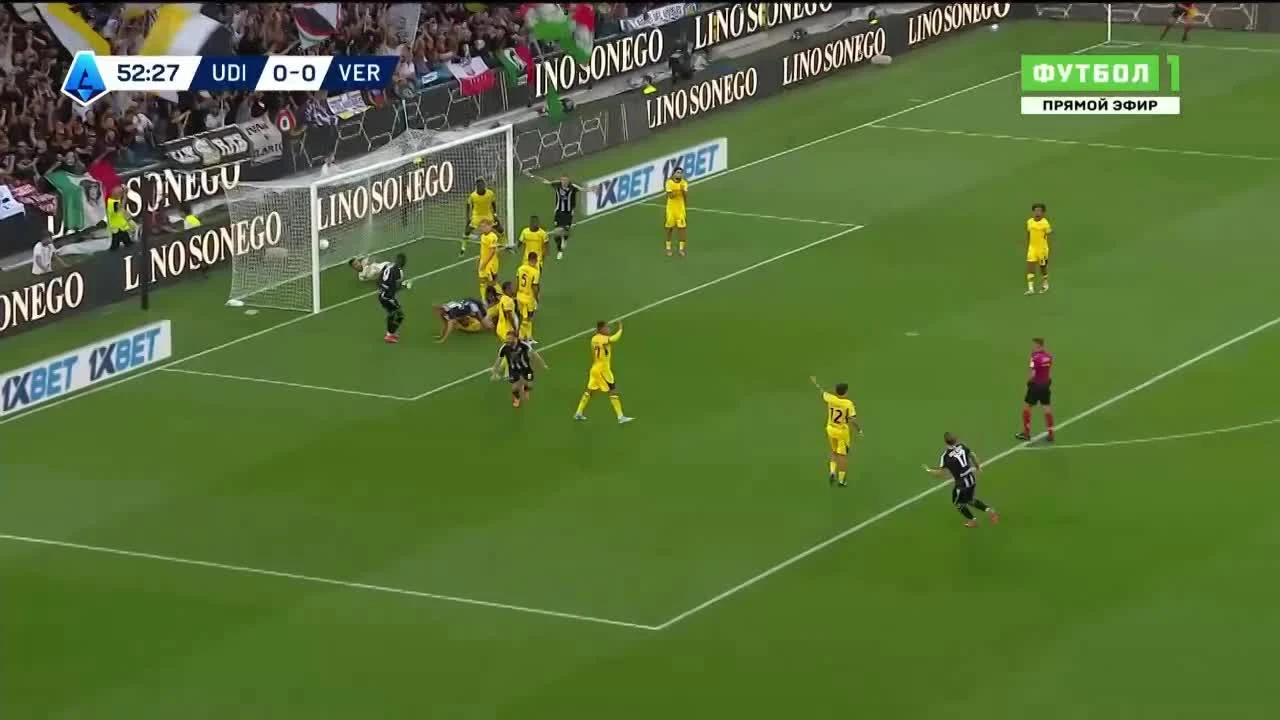 zaslepka skrotu video