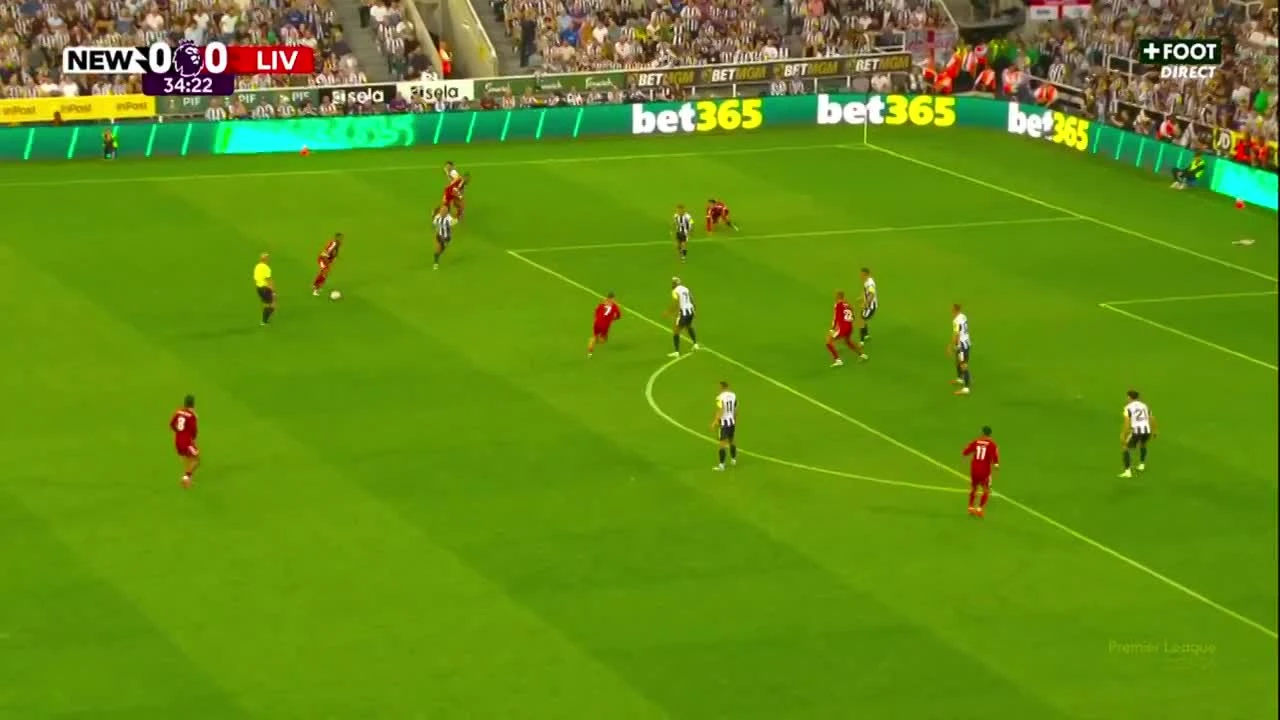 zaslepka skrotu video