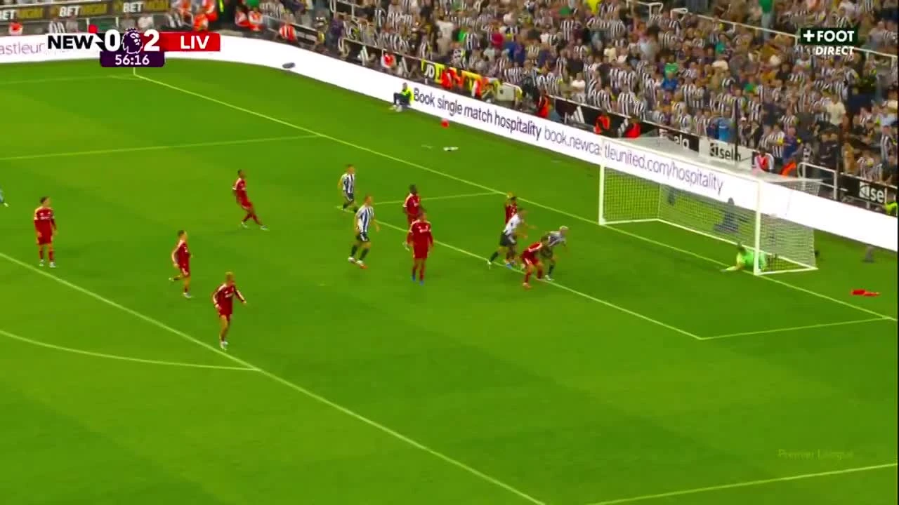 zaslepka skrotu video