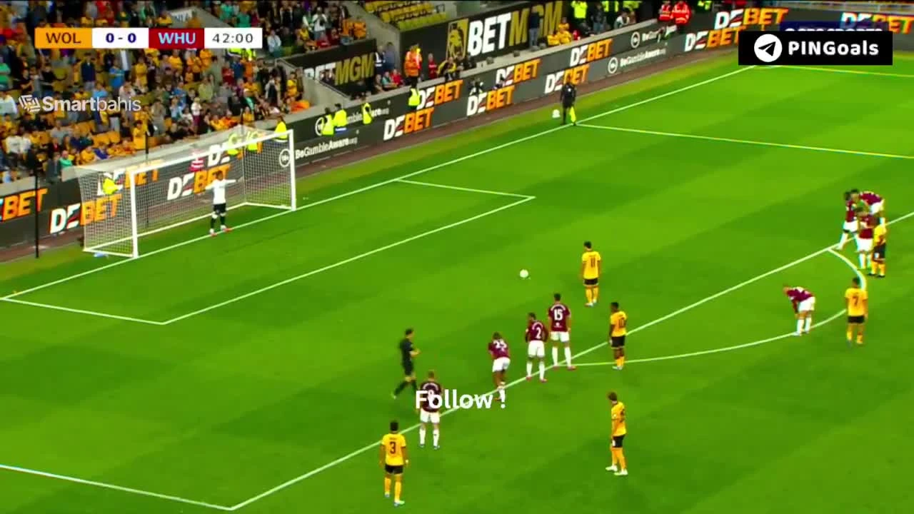 zaslepka skrotu video