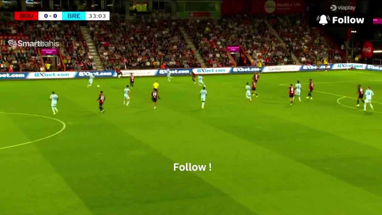 zaslepka skrotu video