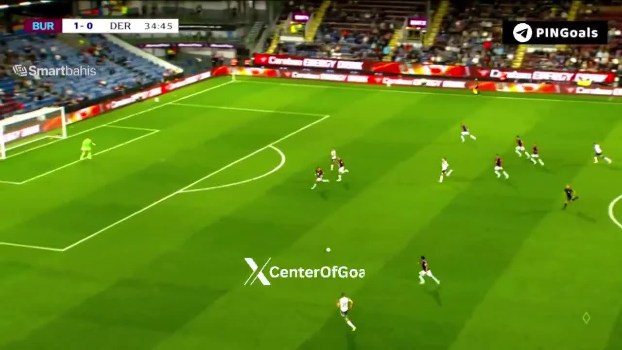 zaslepka skrotu video